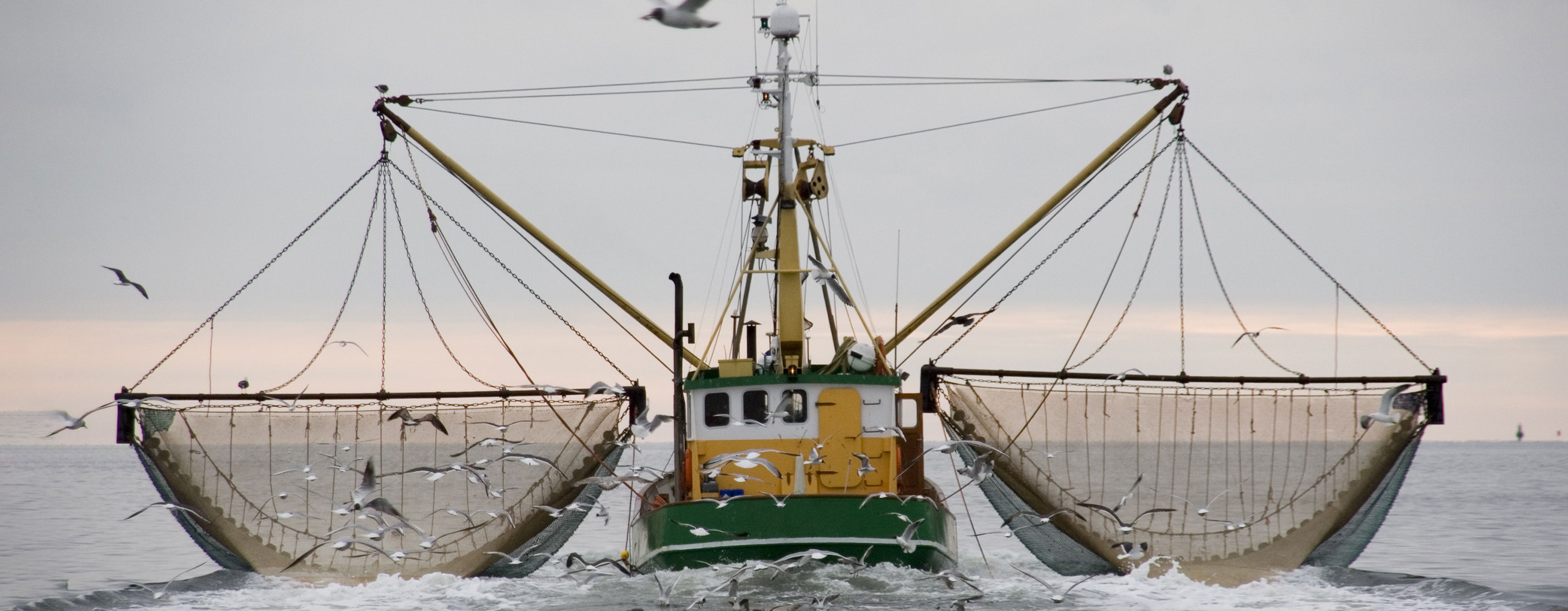 A commercial fishing boat with nets